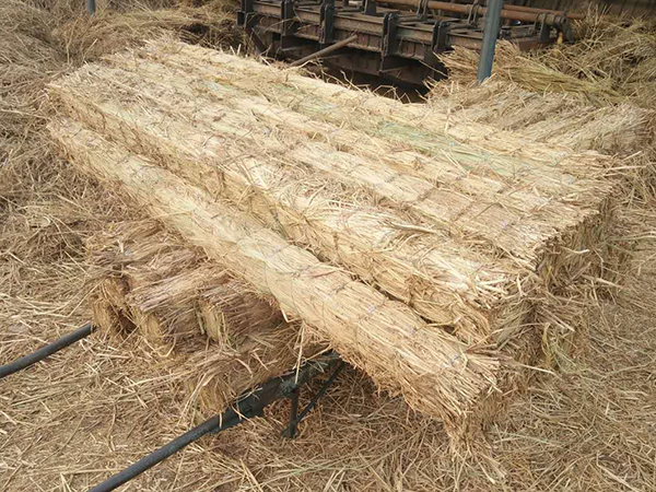 使用條形草支墊，原來(lái)還有這些效果！