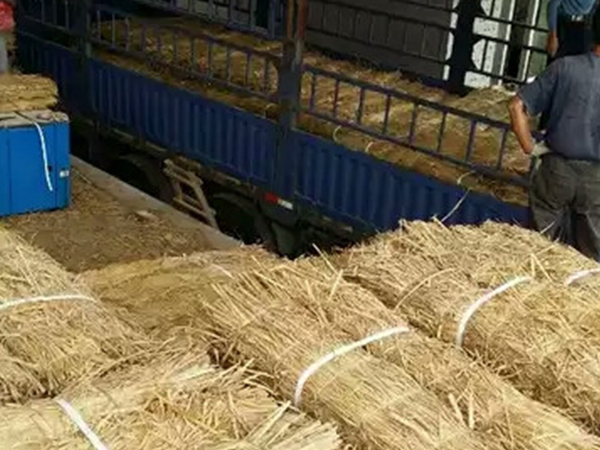 條形草支墊在使用期間要注意哪些問題？